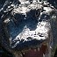 thumbs/IMG_0056.jpg